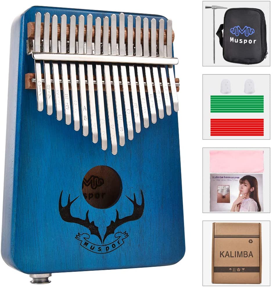 11 Best Amplified Kalimbas Kalimba HQ